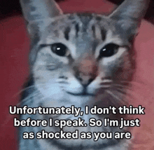 a cat with a caption that says unfortunately , i don 't think before i speak