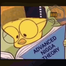 Advanced Nagga Theory Book GIF - Advanced Nagga Theory Book Read GIFs
