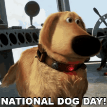 Dough National Dog Day GIF - Dough National Dog Day Dug GIFs