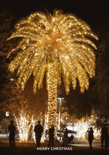 Palm Tree Christmas Tree GIF