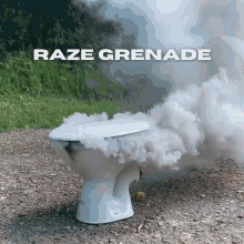 Raze Grenade GIF