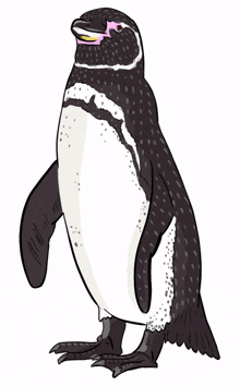 fcd charlesdarwin