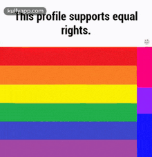 this profile supports equalrights. text word rug art
