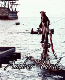 Amber Turd GIF - Amber Turd Amberturd GIFs