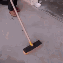 Mexican Cleaning GIF - Mexican Cleaning Cat GIFs