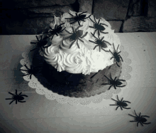 Spider Cake GIF - Spider Cake GIFs