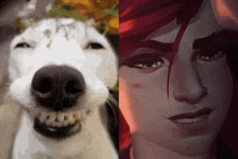 a picture of a dog next to a picture of a woman