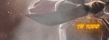 a person holding a sword with the name tr todd written on it