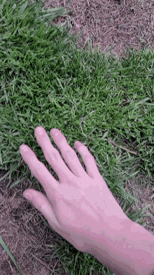 Touch Grass Grass GIF - Touch Grass Grass GIFs