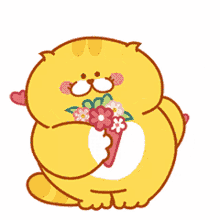 bouquet cat