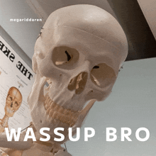Wassup Bro Skeleton GIF - Wassup Bro Skeleton Isaac GIFs