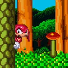 Knuckles Knuckles The Echdna GIF