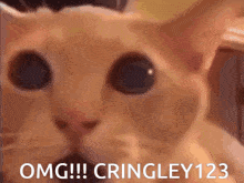 Cringley123 GIF - Cringley123 GIFs