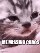 Missing Chaos GIF - Missing Chaos Chaos GIFs