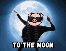 a pig wearing sunglasses is dancing in front of a full moon with the words to the moon below it
