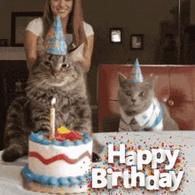 Cat Happy Birthday Meme GIFs | Tenor