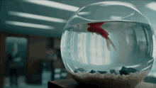 Dead Fish Cure GIF - Dead Fish Cure Cure For Wellness GIFs