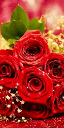 Redra575 Roses57 GIF - Redra575 Roses57 Glirose57 GIFs