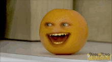 Laranja Irritante Mala GIF - Apple Orange Orange Face GIFs