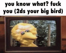 big bird from sesame street is shown on a tv screen