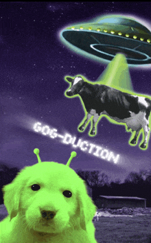 a picture of a cow being abducted by an ufo with the words gog-duction below it