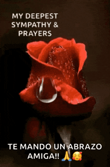 Deepest Sympathy And Prayers Prayer GIF