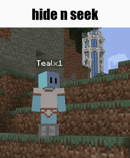 Teal Minecraft Hide And Seek GIF
