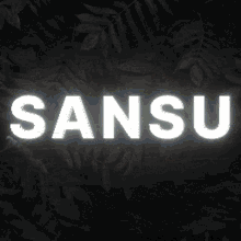 Sansu GIF - Sansu GIFs