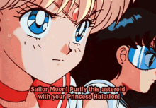 a cartoon character says sailor moon purify this asteroid with your princess halaton