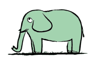 animal elephant