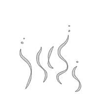 a black and white drawing of smoke coming out of a bottle on a white background .