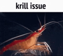 Krill Issue GIF - Krill Issue GIFs