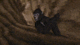 a gorilla is standing in front of a brick wall in a video game .