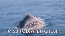 a great white shark is swimming in the ocean and says i 'm 50 today bitches !!