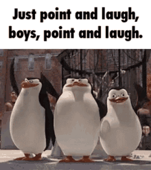 Pointlaugh Point And Laugh GIF - Pointlaugh Point And Laugh Penguins Of Madagascar GIFs
