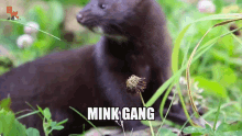 Mink Gang New World GIF