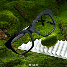 a pair of glasses sitting on top of a green mossy surface with the word zeeloo on the bottom