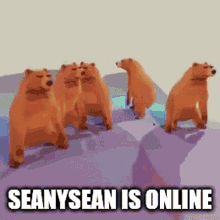 Seanysean Online GIF - Seanysean Online Discord GIFs