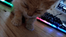 a cat is playing with a mouse on a keyboard