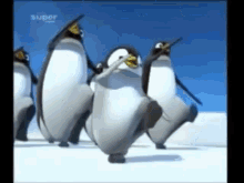 Pinguin Meme GIF