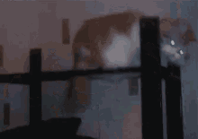 a blurry picture of a person standing in a dark room with a blurred background .
