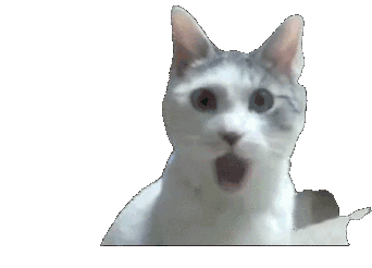 Omg Cat Sticker - Omg Cat Omg Cat - Discover & Share GIFs
