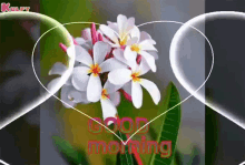 Good Morning Good Morning With Flowers GIF - Good Morning Good Morning With Flowers Gif GIFs