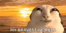 a cat is smiling in front of a sunset with the words `` my bravest worker '' written on it .