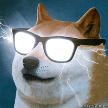 Doge Dogecoin GIF - Doge Dogecoin Electric GIFs