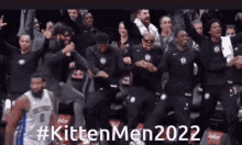 Kitten Men2022 GIF - Kitten Men2022 GIFs