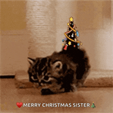 Merry Christmas Cute GIF - Merry Christmas Cute Baby Cat GIFs