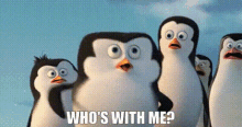 Penguins Of Madagascar Whos With Me GIF - Penguins Of Madagascar Whos With Me Skipper GIFs