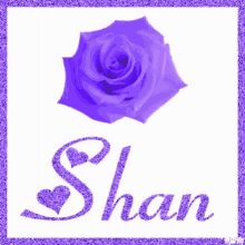 Shan GIF - Shan GIFs