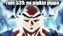 Pipkin Pippa Rule 539 GIF
